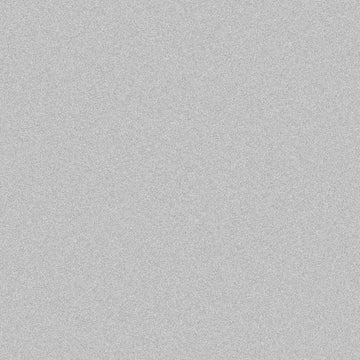 Oracal 651- Silver Grey( Metallic)090