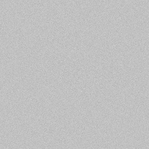 Oracal 651- Silver Grey( Metallic)090