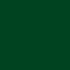 Oracal 651- 060 DARK GREEN