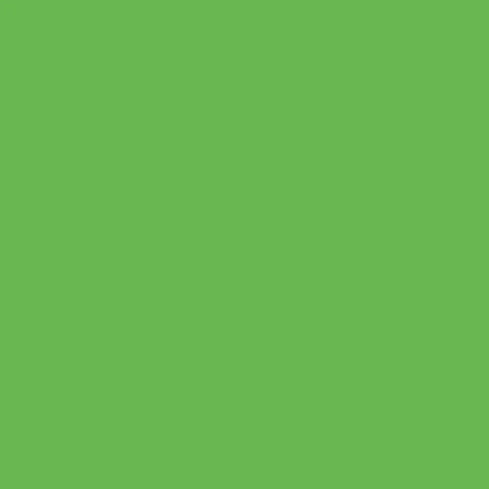 Gimme5 - Grass Green BF 754A