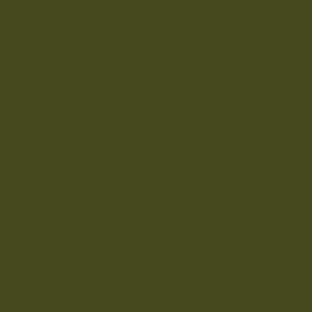 Gimme5 - Olive Green BF 781A