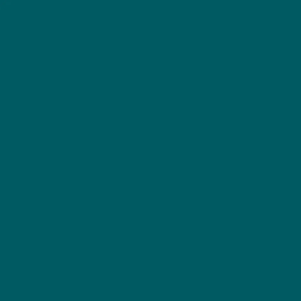 Gimme5 -  Turquoise BF 782A