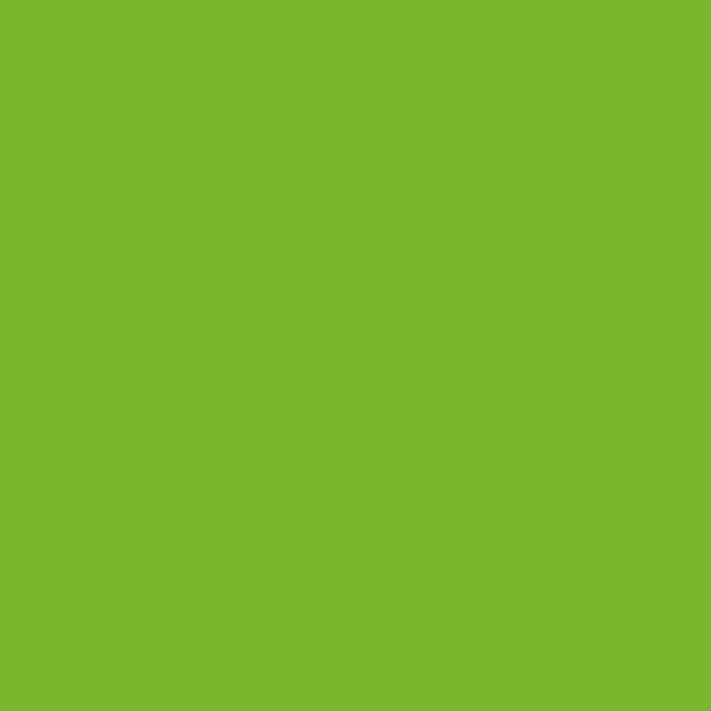 Gimme5 -  Neon Green BF FLUO50A