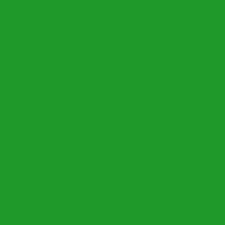 Oracal 651- Yellow green 064