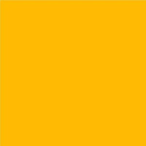 Oracal 651- Golden Yellow 020