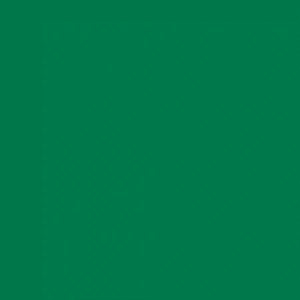 Oracal 651-Green 061