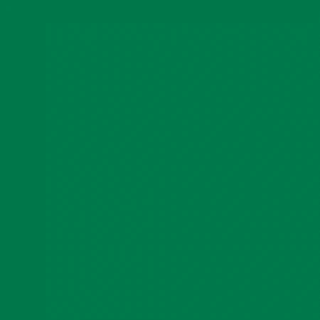Oracal 651-Green 061