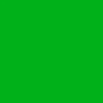 Oracal 651- Light Green 062