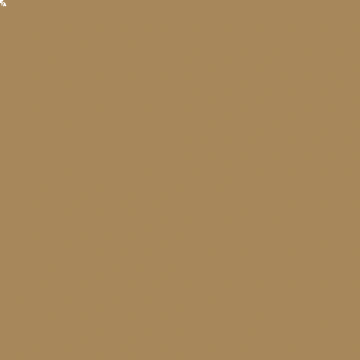 Oracal 651- Light Brown 081