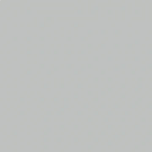 Oracal 651- Light grey 072