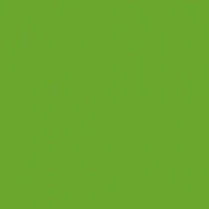 Oracal 651-Lime tree Green 063
