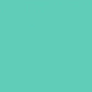 Oracal 651- Mint 055