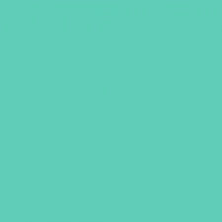 Oracal 651- Mint 055