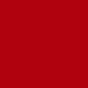 Oracal 651- Red 031