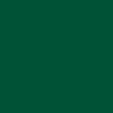 Oracal 651- Forest Green 613