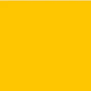 Oracal 651- Yellow 021
